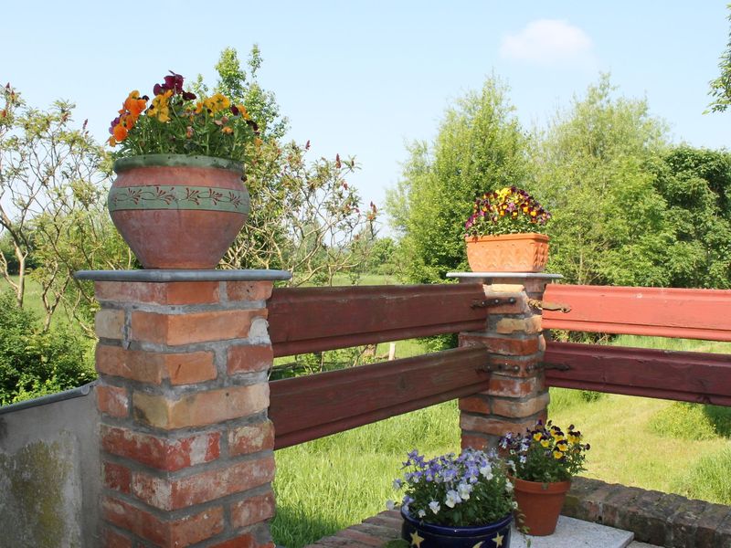 TerraceBalcony