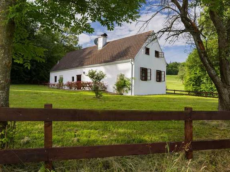 19291593-Ferienhaus-8-Steinakirchen am Forst-800x600-1