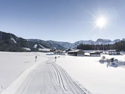 Ferienhaus für 2 Personen (30 m²) in Steinberg am Rofan 7/10