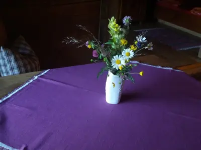 Ferienhaus für 2 Personen (60 m²) in Steinberg am Rofan 9/10