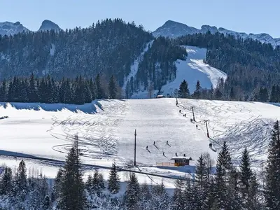 Ferienhaus für 2 Personen (30 m²) in Steinberg am Rofan 6/10