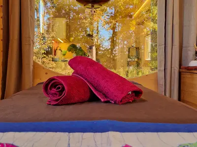 Ayurveda Massage (Zusatzleistung)