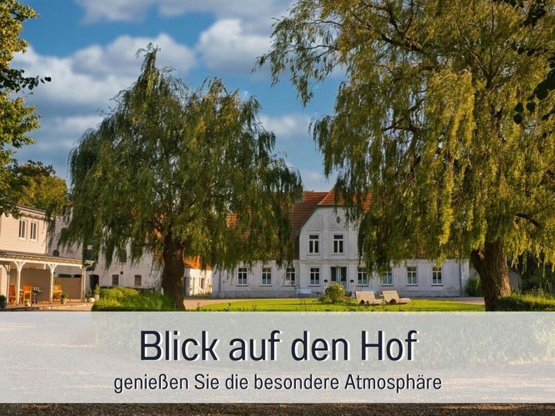23978406-Ferienhaus-4-Steinberg (Schleswig-Holstein)-800x600-1