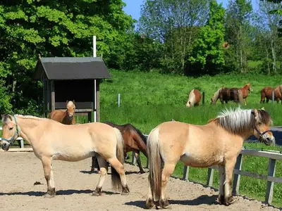 Ferienhaus für 4 Personen (100 m²) in Steinberg 5/10