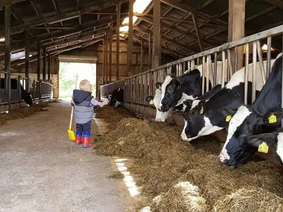 Ferienhaus für 6 Personen (70 m²) in Steinberg 9/10