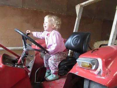 Ferienhaus für 6 Personen (70 m²) in Steinberg 10/10