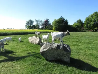 Ferienhaus für 5 Personen (45 m²) in Steinberg 8/10