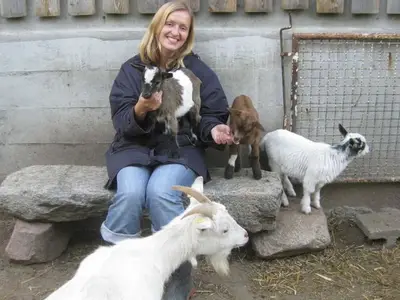 Ferienhaus für 6 Personen (70 m²) in Steinberg 6/10