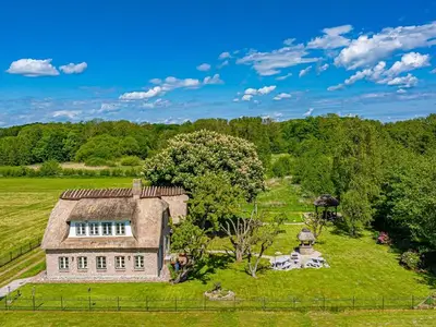 Ferienhaus für 8 Personen (190 m²) in Steinbergkirche 9/10
