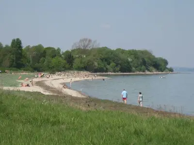 Ferienhaus für 8 Personen (110 m²) in Steinbergkirche 7/10