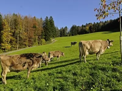 Bild 9