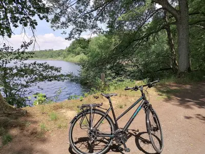 Ferienhaus für 4 Personen (85 m²) in Steinen (Rheinland-Pfalz) 9/10