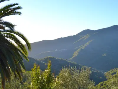 ViewSummer