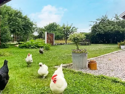Outdoor