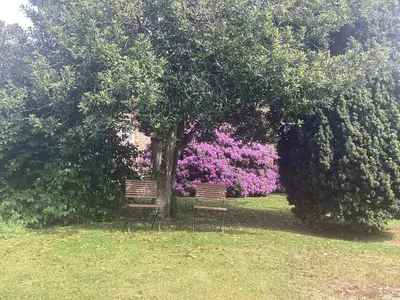 Outdoor