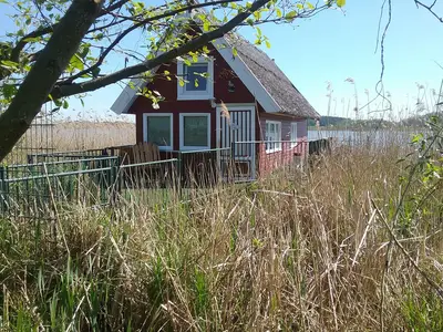 GardenSummer