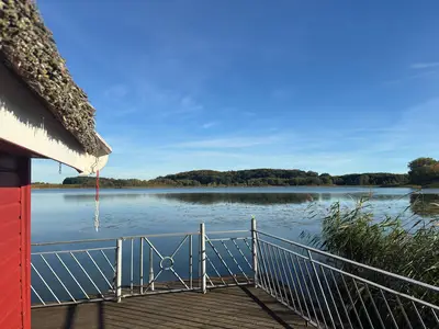 ViewSummer