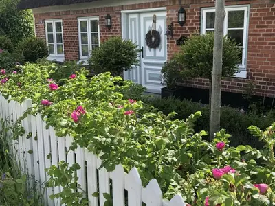 Ferienhaus für 4 Personen (120 m²) in Sterup 4/10