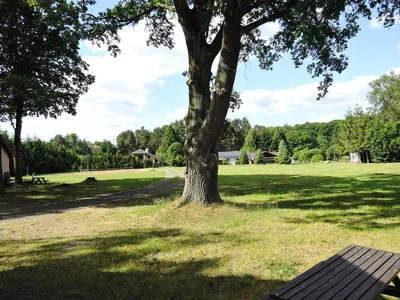 GardenSummer