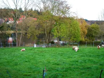 Ferienhaus für 5 Personen (65 m²) in Stiege 6/10