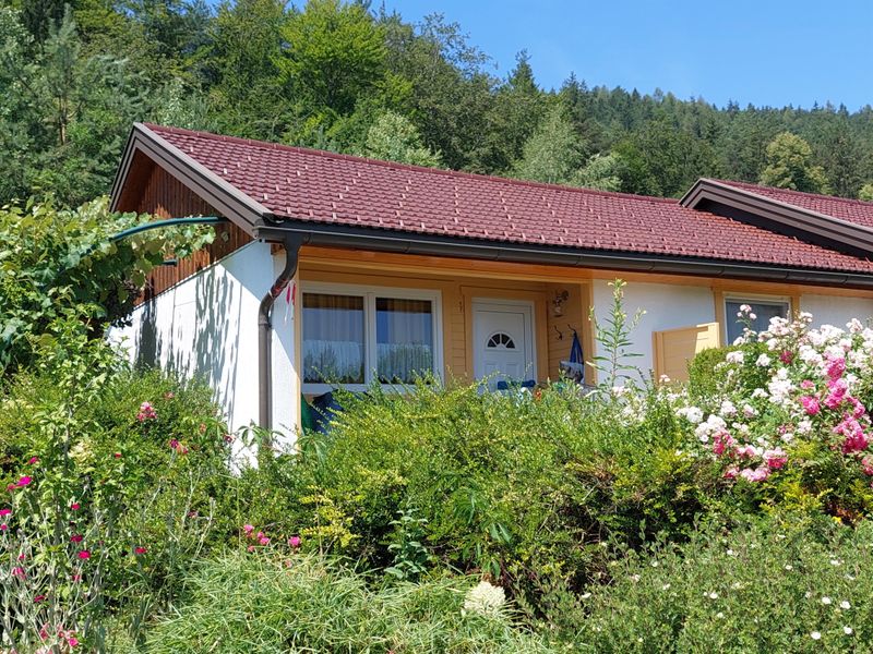 23924649-Ferienhaus-6-St.Kanzian am Klopeiner See-800x600-2