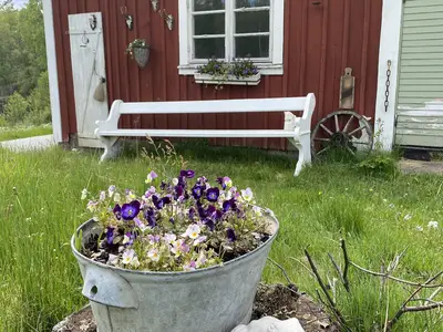 Bild 5