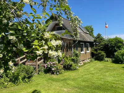 Ferienhaus für 4 Personen (60 m²) in Stoltebüll 1/10