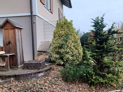 Ferienhaus für 4 Personen (85 m²) in Straden 6/10