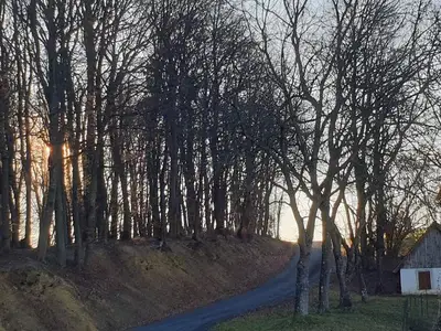 Ferienhaus für 4 Personen (85 m²) in Straden 9/10