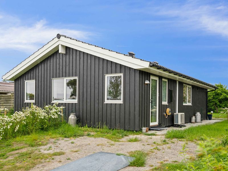 24056689-Ferienhaus-8-Strøby-800x600-1