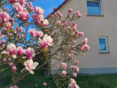 Villa Elisa Giebel