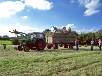 Ferienhaus für 8 Personen (160 m²) in Struxdorf 9/10