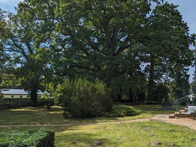 Ferienhaus für 4 Personen (27 m²) in Stuer 7/10