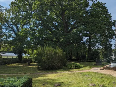 Ferienhaus für 4 Personen (27 m²) in Stuer 7/10