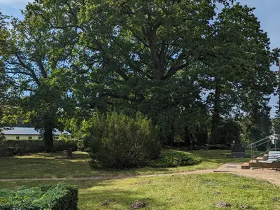 Ferienhaus für 4 Personen (27 m²) in Stuer 7/10