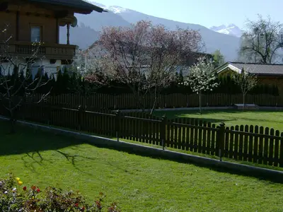 Frühling