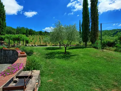 Bild 10