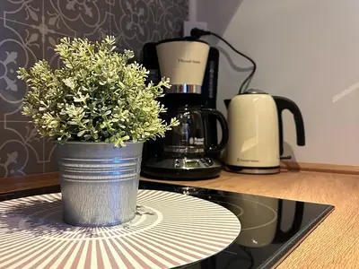Ferienhaus für 4 Personen (50 m²) in Südbrookmerland 7/10