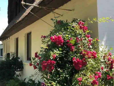 Ferienhaus für 6 Personen (150 m²) in Südbrookmerland 6/10