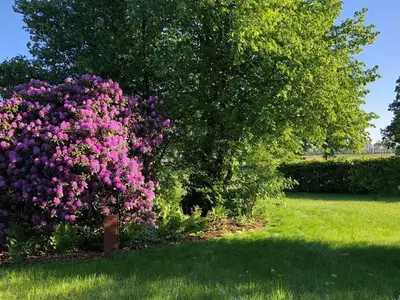 Ferienhaus für 6 Personen (150 m²) in Südbrookmerland 8/10