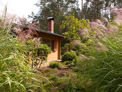 Ferienhaus für 4 Personen (55 m²) in Böddenstedt (Suderburg) 2/10