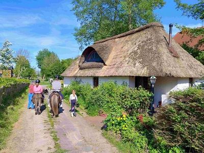 Ferienhaus für 4 Personen in Süderdeich 3/10