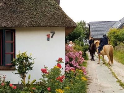 Ferienhaus für 4 Personen in Süderdeich 7/10