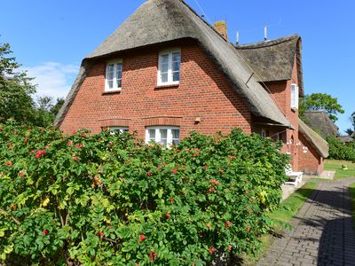 Ferienhaus für 6 Personen (82 m²) in Süderende 1/10