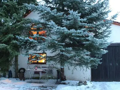 Ferienhaus für 4 Personen (45 m²) in Südharz 2/10