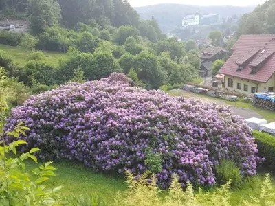 Ferienhaus für 2 Personen (48 m²) in Stolberg 10/10