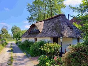 Ferienhaus für 4 Personen in Süderdeich