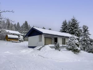 Ferienhaus für 4 Personen (65 m²) in Suhl