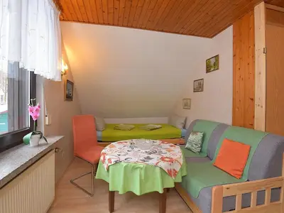 Ferienhaus für 4 Personen (50 m²) in Suhl 9/10