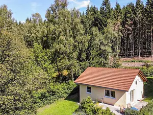 Ferienhaus für 4 Personen (55 m²) in Lauter